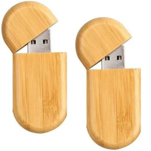 Wooden Pen Drive – Eco-Friendly Storage with a Natural Touch